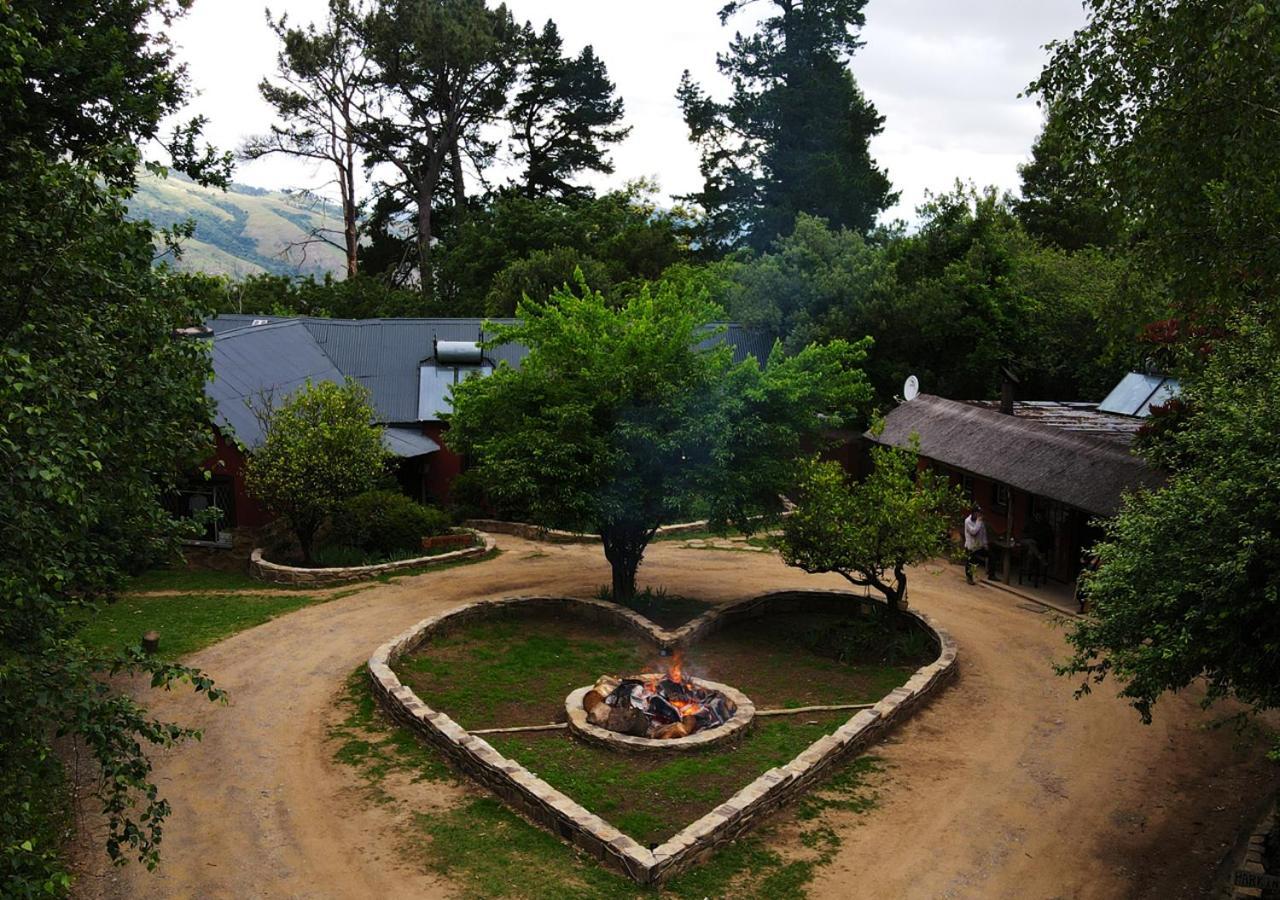 הוחסבק Away With The Fairies Nature Lodge And Backpackers מראה חיצוני תמונה