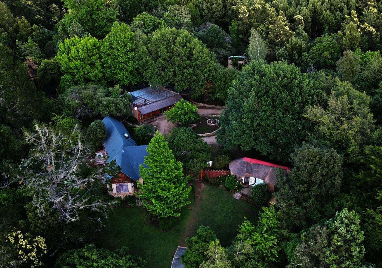 הוחסבק Away With The Fairies Nature Lodge And Backpackers מראה חיצוני תמונה